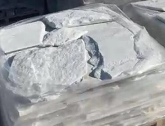 white-macael-marble-flagstone
